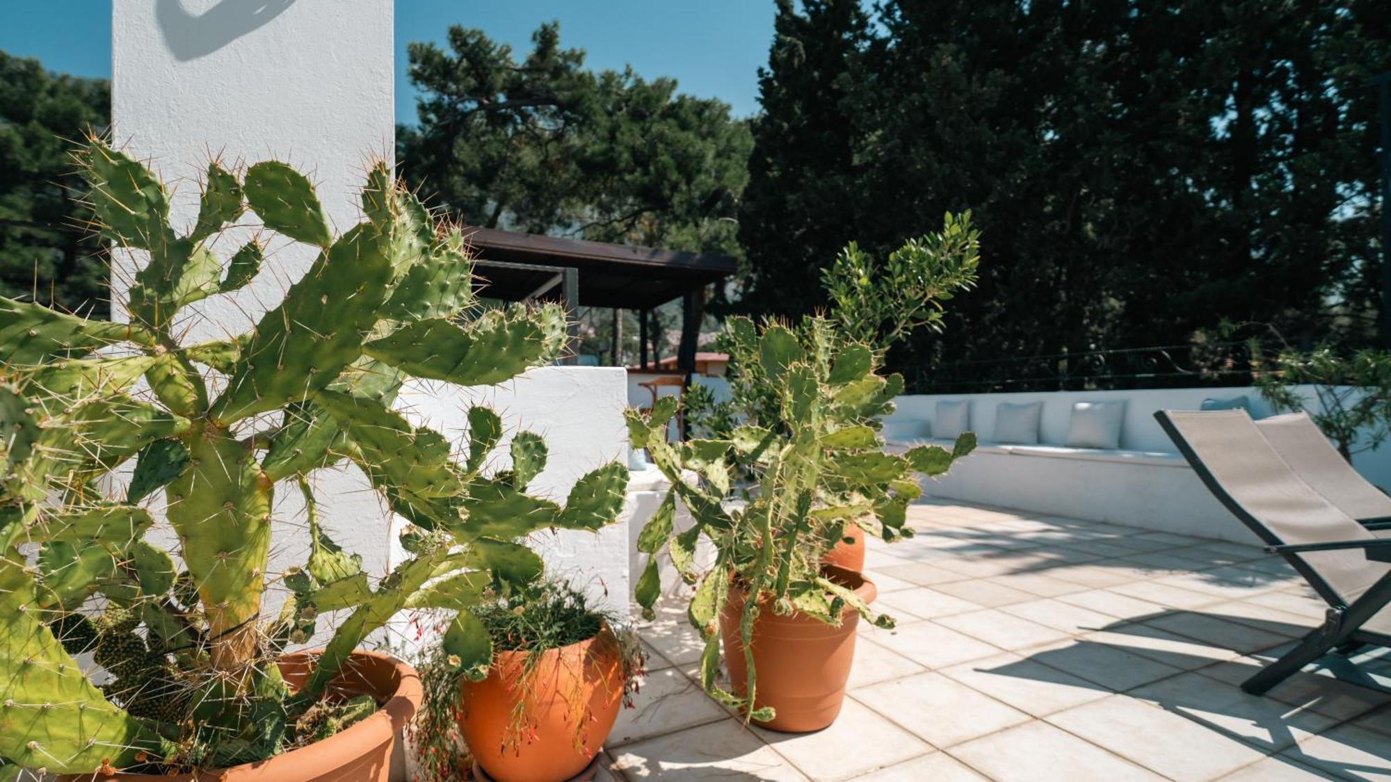 Totelya Hotel Akyaka  Zewnętrze zdjęcie
