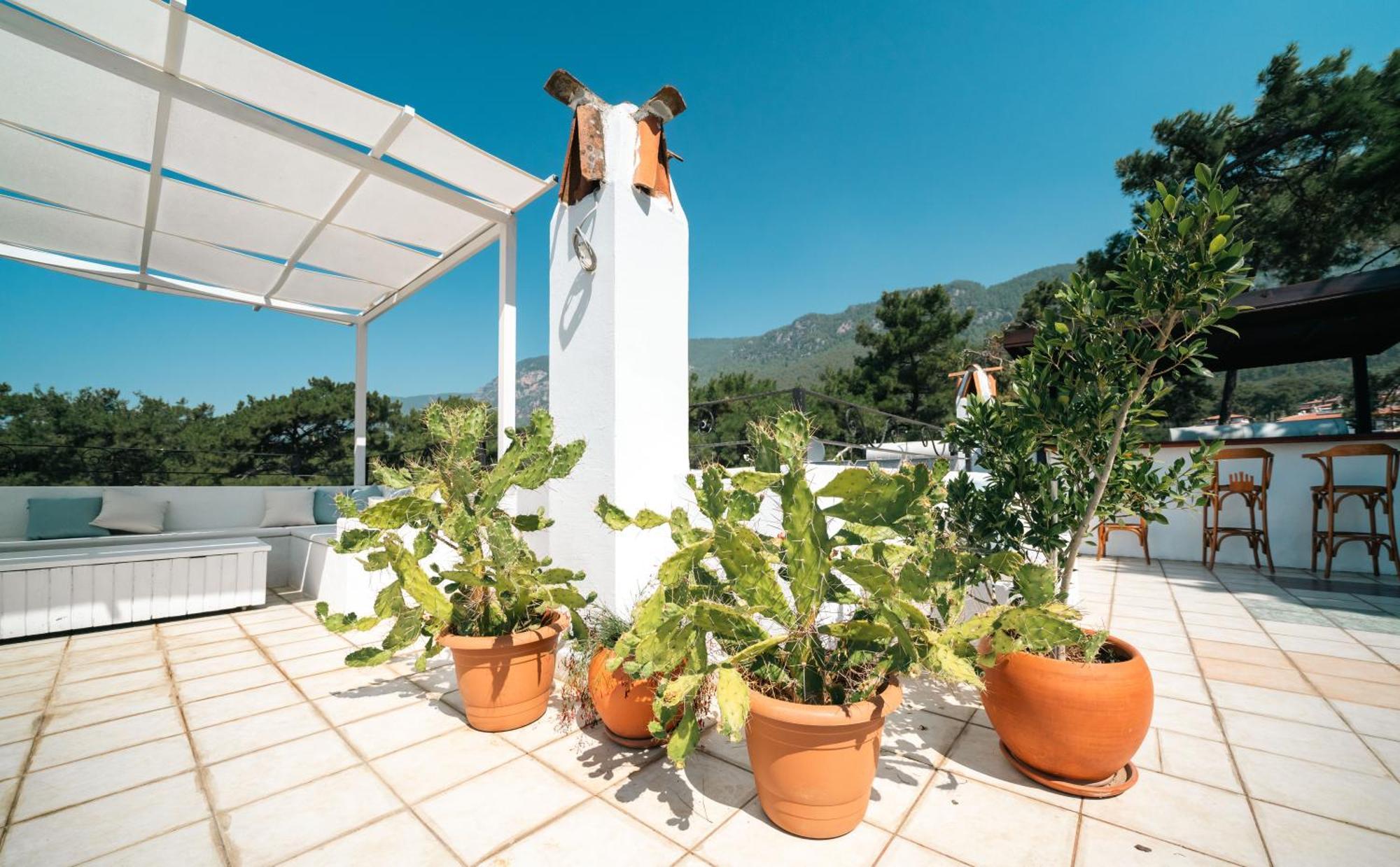 Totelya Hotel Akyaka  Zewnętrze zdjęcie