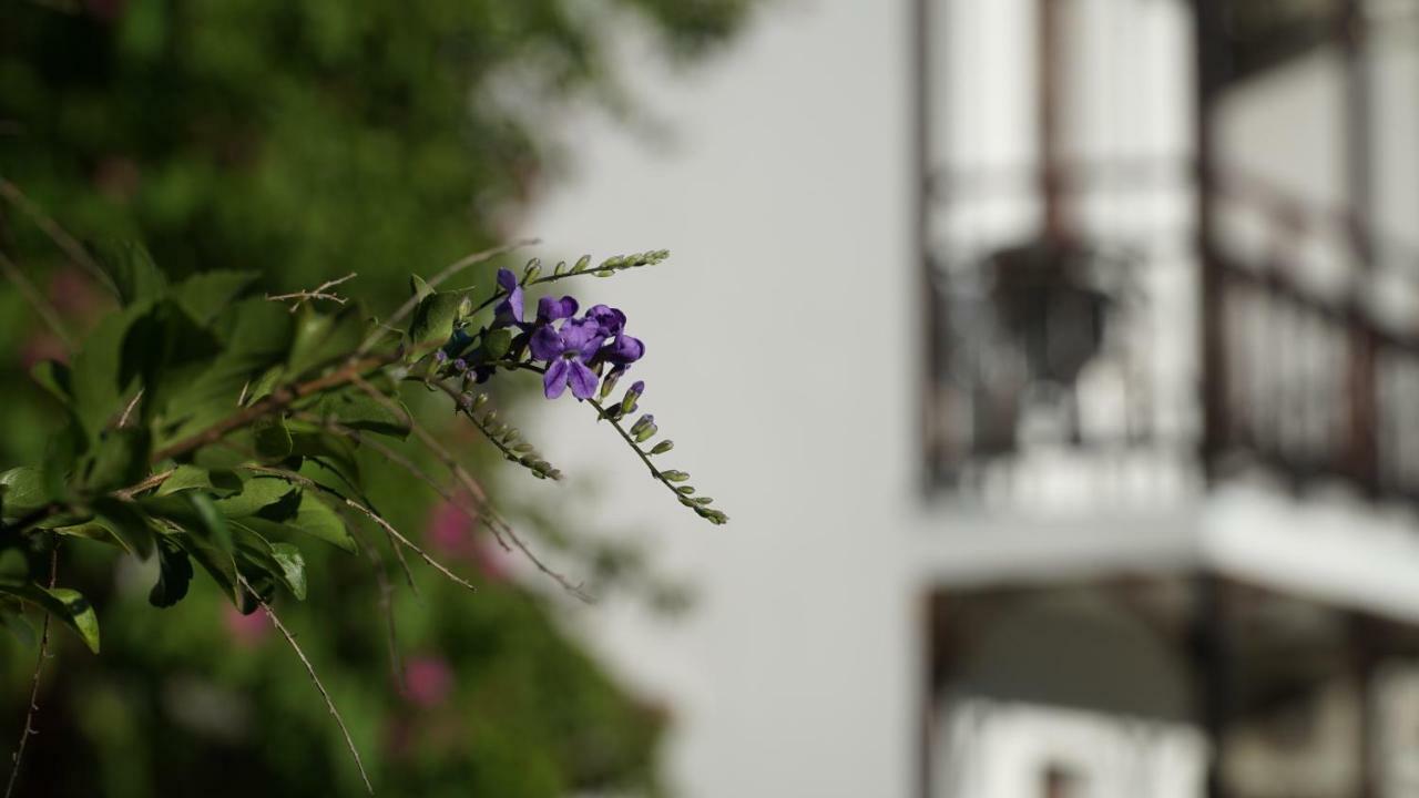 Totelya Hotel Akyaka  Zewnętrze zdjęcie