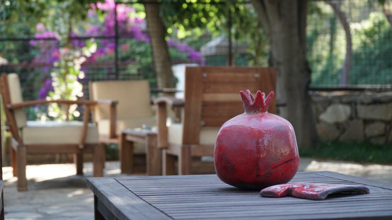 Totelya Hotel Akyaka  Zewnętrze zdjęcie